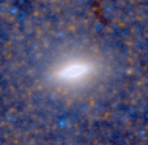 HST optical image of the flattened nuclear central cluster in NGC 4244.