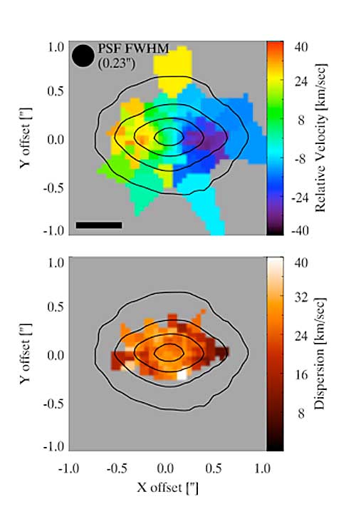 Image showing the measure radial velocity observed with NIFS (top) and Velocity dispersion across the NSC derived from NIFS measurements (bottom).