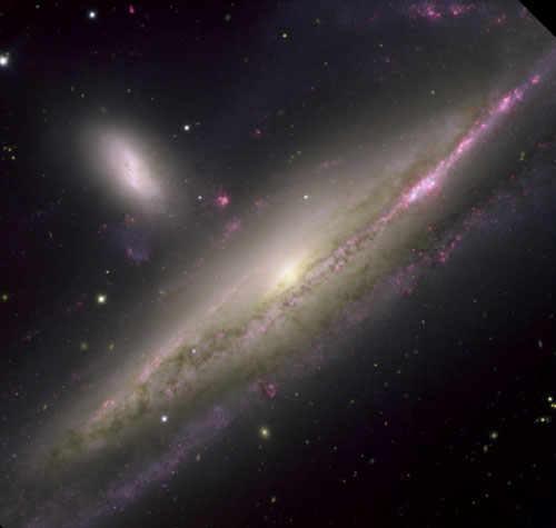 Picture showing the embrace of the two interacting galaxies, NGC 1531 and 1532.