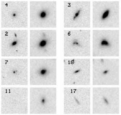HST imaging with NICMOS and ACS allowed the study of galaxy morphologies in the young cluster.