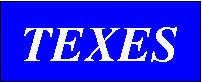 [TEXES logo]